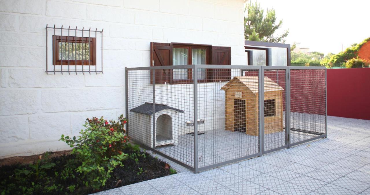 Woof & Sun Villa Esmoriz Exterior photo