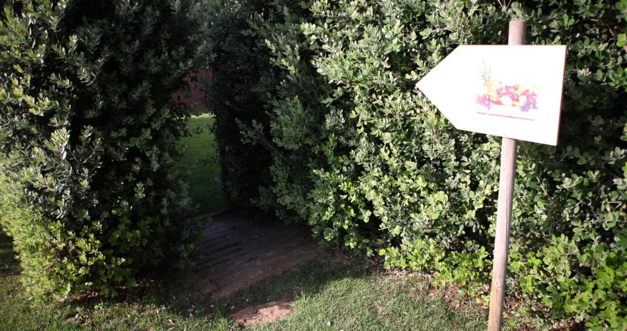 Woof & Sun Villa Esmoriz Exterior photo