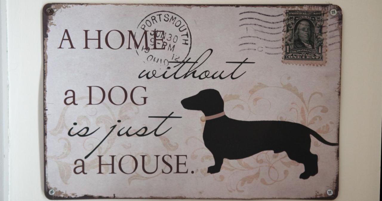Woof & Sun Villa Esmoriz Exterior photo